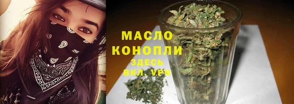 молекула духа Няндома