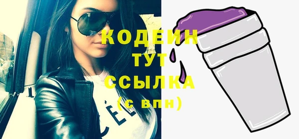 ПСИЛОЦИБИНОВЫЕ ГРИБЫ Новозыбков