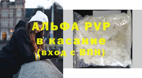 молекула духа Няндома