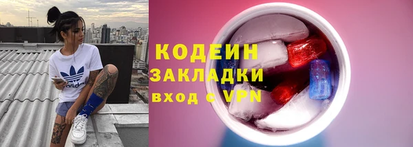 ПСИЛОЦИБИНОВЫЕ ГРИБЫ Новозыбков