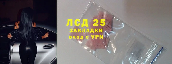 ПСИЛОЦИБИНОВЫЕ ГРИБЫ Новозыбков
