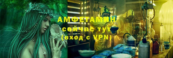 ПСИЛОЦИБИНОВЫЕ ГРИБЫ Новозыбков