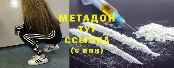 ПСИЛОЦИБИНОВЫЕ ГРИБЫ Новозыбков