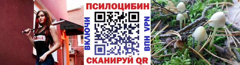 Галлюциногенные грибы ЛСД  мега как войти  мориарти формула  Кропоткин 